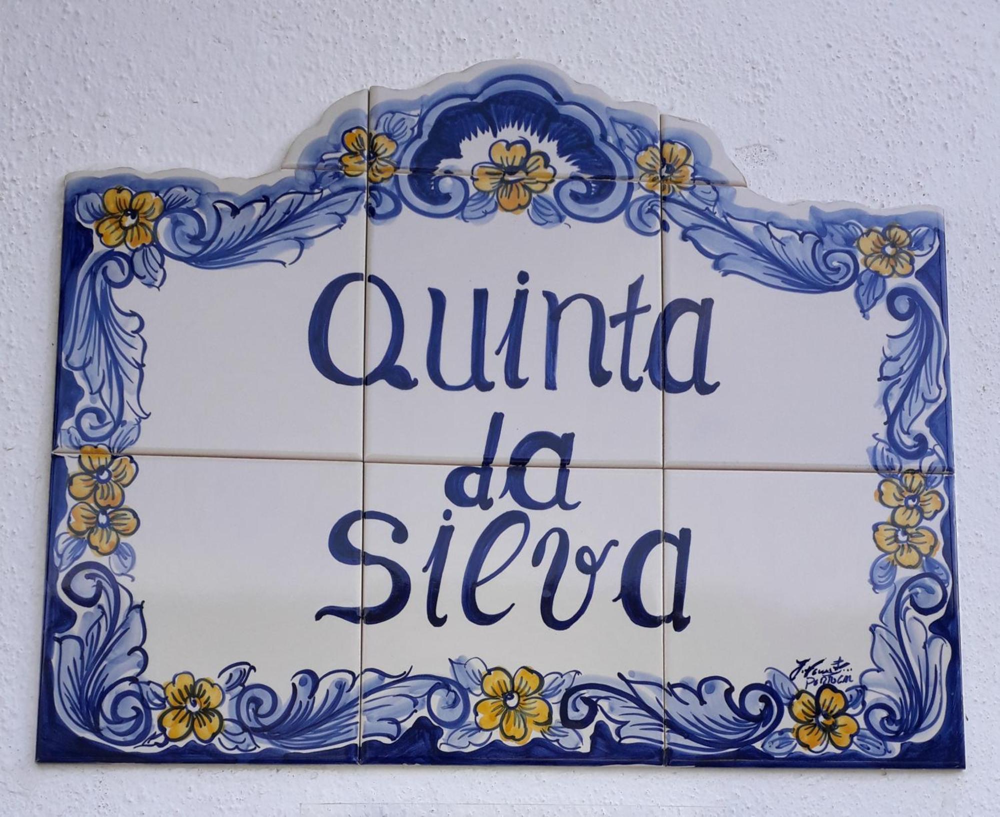 Vale dos Ovos Quinta Da Silvaヴィラ エクステリア 写真